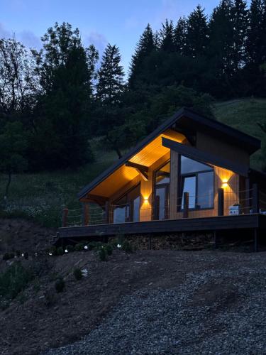 a house on a hill with lights on it at Petrick House in Verkhovyna