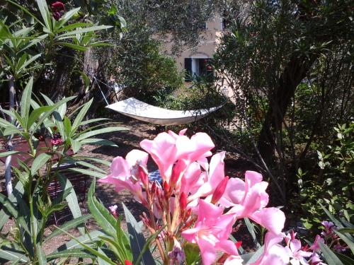 Imagen de la galería de B&B Ududemà, en Dolcedo