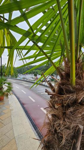 a bird nest on the side of a road at Soul River e cucina in Pančevo