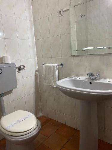 a bathroom with a toilet and a sink at Casa Augusta - QUINTA in Penafiel