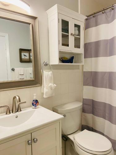 a bathroom with a toilet and a sink and a mirror at Endless Beach #A,Oceanfront,3bedrooms-2bath-Pet Friendly in Virginia Beach
