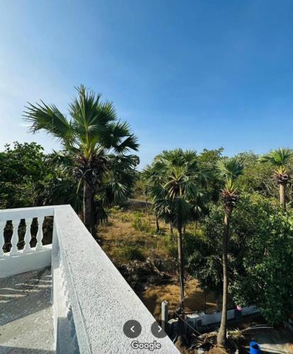 Κήπος έξω από το Classic Villa