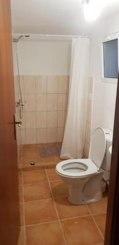 ein Bad mit einem WC und einem Duschvorhang in der Unterkunft Casa Gama in Ribeira da Janela