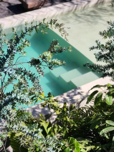 a swimming pool through the trees at Villa Escondida in Guadalajara