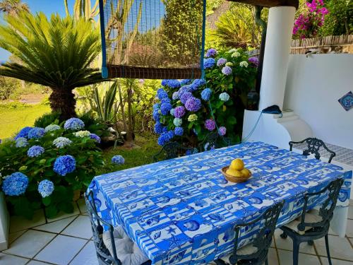 Κήπος έξω από το Villa 'A Pisa
