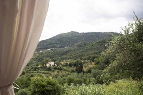 a view of a mountain with a house on a hill at Società agricola Scerba srl in Montemagno