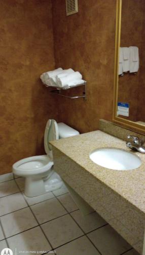 a bathroom with a toilet and a sink and a mirror at Quality Inn & Suites Somerset Downtown in Somerset