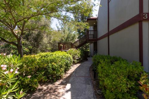 a walkway in front of a building with bushes at San Diego Country Estates in Ramona