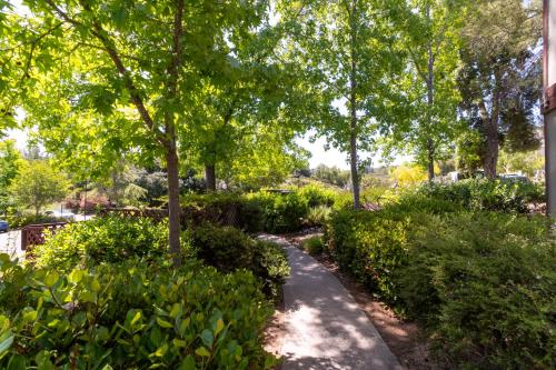 a path through a park with trees and bushes at San Diego Country Estates in Ramona