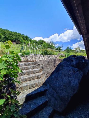 a set of stone steps leading up to a hill at Holiday home in Dolenjske Toplice - Kranjska (Krain) 51092 in Dolenjske Toplice