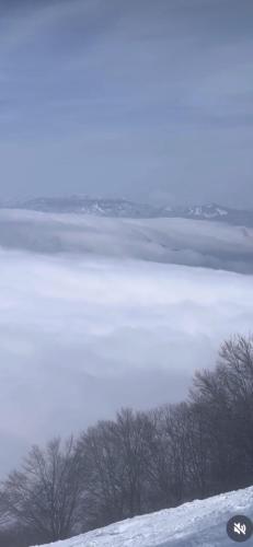 a large body of water with trees in the snow at Madarao Lainstons in Iiyama
