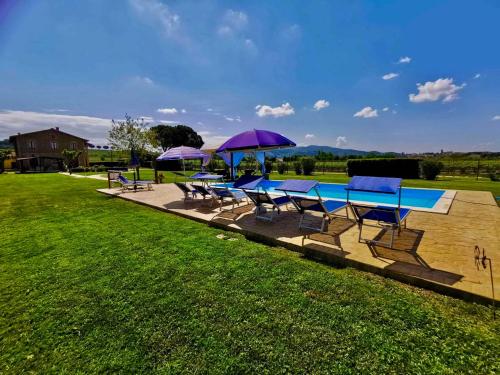 Gallery image of Apartments in Torgiano - Umbrien 24282 in Torgiano