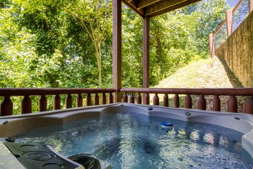 The Circle Of Life, Hot Tub, Theater Room, 560 FREE tickets each paid day photo 60