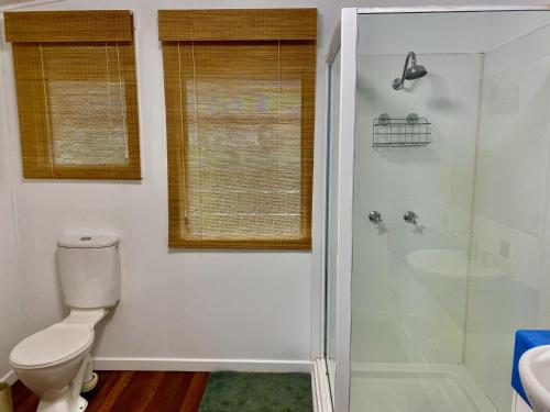 a bathroom with a toilet and a shower and a sink at Burrum Beach House-Waterfront-Private Jetty-2BR in Toogoom