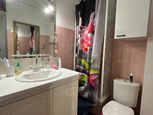 La salle de bains est pourvue d'un lavabo, de toilettes et d'un rideau de douche. dans l'établissement Studio climatisé à 300m de la plage avec parking et terrasse - Argelès-sur-Mer - FR-1-732-84, à Argelès-sur-Mer