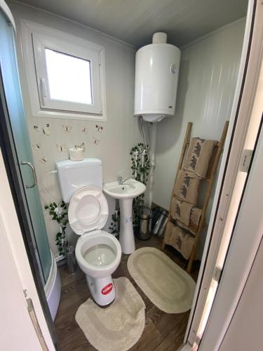 a bathroom with a toilet and a sink at Danube Oasis Stevantown 1 in Stari Banovci