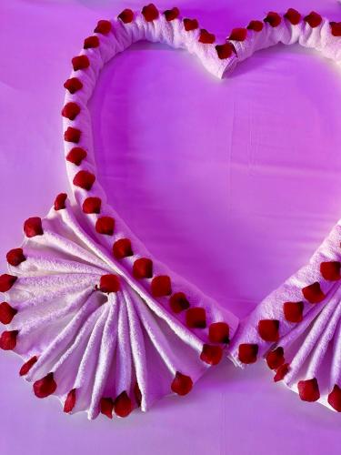 Afbeelding uit fotogalerij van La Belle Nuit suite Nuit Étoilée in Saint-Gilles