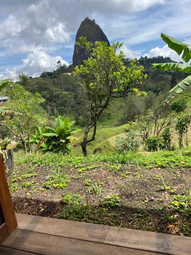 a view of a hill with a tree and a mountain at Ecoedén glamping in Guatapé