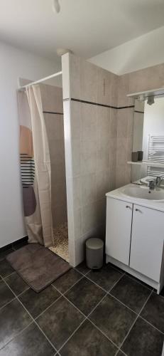 une salle de bain avec un lavabo et une douche dans l'établissement Maison de vacances Angles, à Angles