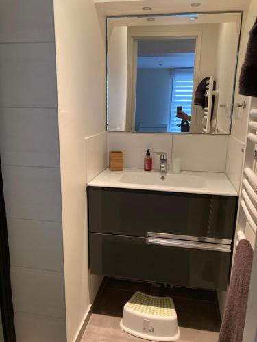 une salle de bain avec un lavabo et un miroir dans l'établissement Appartement T3 classé 3 étoiles, à Bayonne
