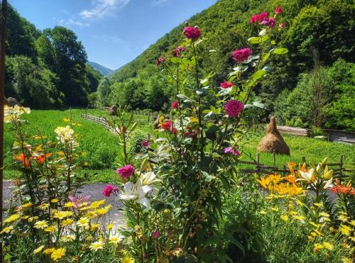 a garden with colorful flowers and a fence at Casa Her in Galaţi