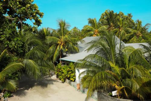 a house on the beach with palm trees at Shifa Lodge Maldives in Feridhoo