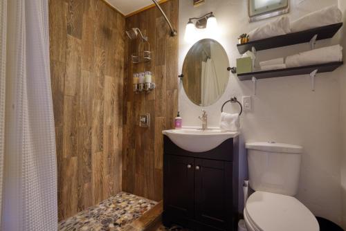 Un baño con inodoro, lavabo y espejo. en Columbine Cabin at Highland Meadows, en Hot Springs