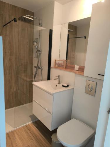 a bathroom with a sink and a shower and a toilet at Plouharnel-Carnac-Quiberon bord de mer in Plouharnel
