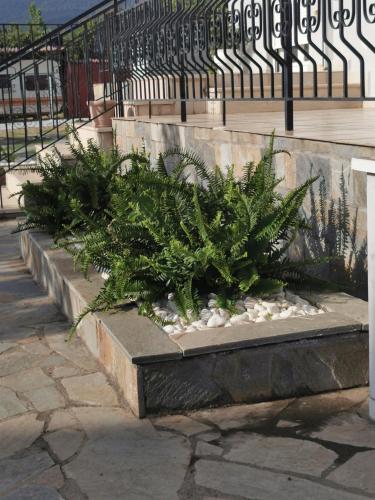 a row of plants in a stone planter on a sidewalk at Villa Adamidis in Paralía Skotínis