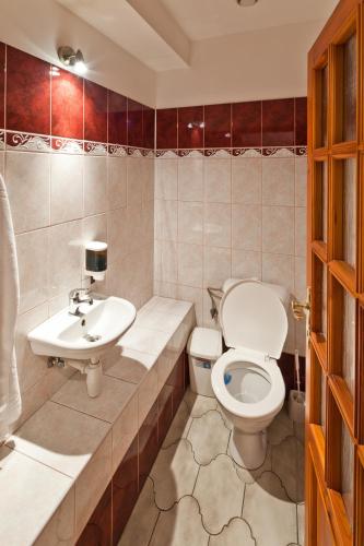 a bathroom with a toilet and a sink at Pension Fontána Svitavy in Svitavy