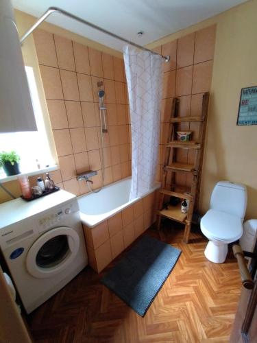 a bathroom with a washing machine and a toilet at Viktorijas dārzs in Liepāja