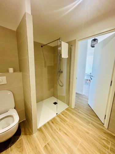 une salle de bain avec douche et toilettes dans l'établissement Magnifique 2 pièces vue mer, à LʼÎle-Rousse