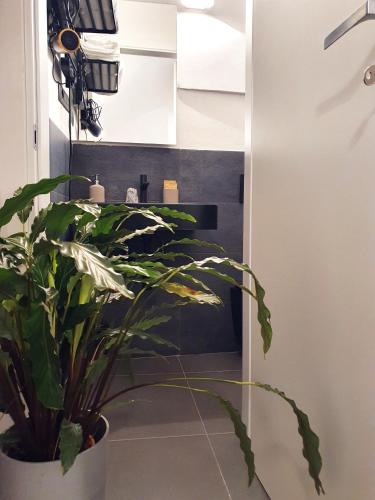 a bathroom with a large plant in a pot at La Casa dell'Artista nel centro storico - La Spezia in La Spezia