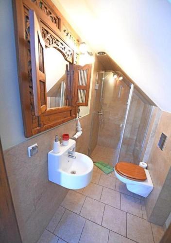 a bathroom with a toilet and a sink and a shower at Gościniec Malinówka in Krzeszna