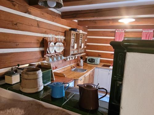 Kuchyň nebo kuchyňský kout v ubytování Residence Roubenka Český ráj