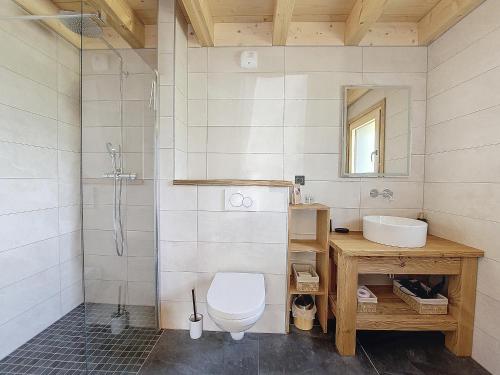 une salle de bain avec toilettes, lavabo et douche dans l'établissement Chalet SKADI, à Essert-Romand