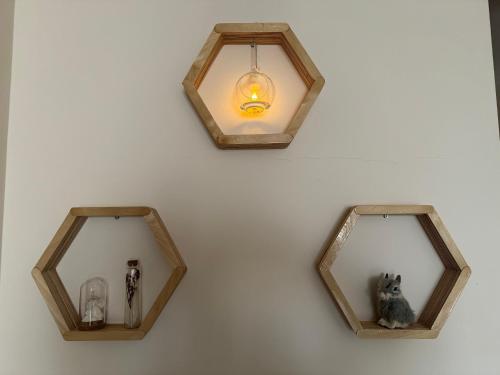 two mirrors on a wall with a dog and a light at SUPER Apartment in Yerevan in Yerevan