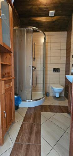 a bathroom with a shower and a toilet at Keja in Łeba