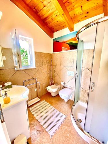 a bathroom with a shower and a sink and a toilet at Villa Venus Privacy & Relax in Mošćenička Draga