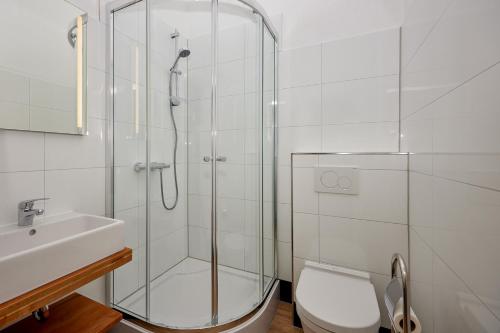 a bathroom with a shower and a toilet and a sink at BnB-SiZ in Zeltingen-Rachtig
