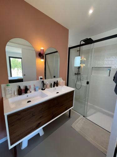 La salle de bains est pourvue d'un grand lavabo et d'une douche. dans l'établissement Grande Maison familiale lumineuse avec piscine, à Luynes