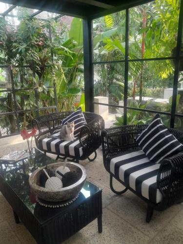 a cat sitting on two chairs on a patio at Martini Suite and Villa in Kerobokan