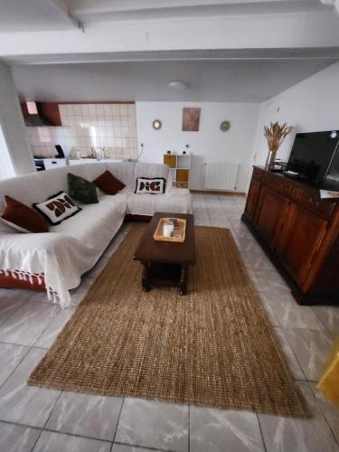 DOMAINE DE POULHARIES -Merlot