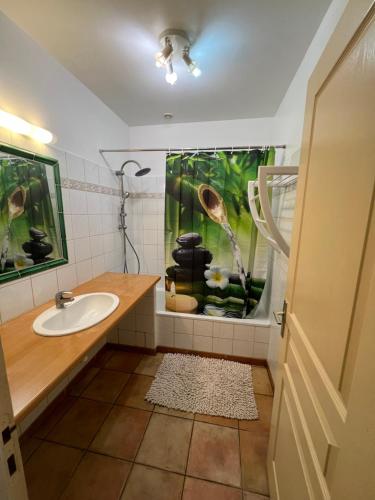 une salle de bain avec un lavabo et un aquarium dans le mur dans l'établissement Appartement et jardin vals les bains, à Vals-les-Bains