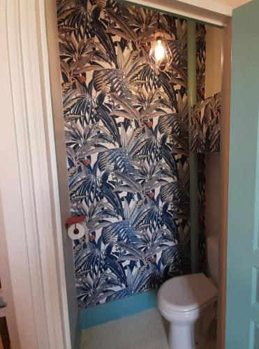 La salle de bains est pourvue de toilettes et de papier peint bleu et blanc. dans l'établissement Villa charmante à Villedieu-sur-Indre avec piscine privée, à Villedieu-sur-Indre