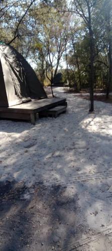 Hyenas howl campsite