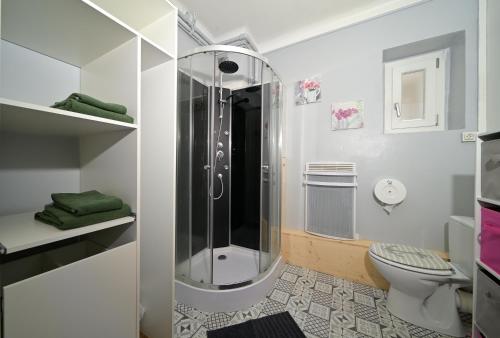 a bathroom with a shower and a toilet at Chambre Verte in Auzat