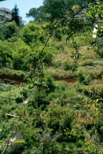 Gallery image of The AirD&D in Ấp Ða Lợi