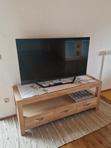 TV a/nebo společenská místnost v ubytování Wohnung mit Garten