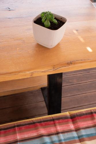 a potted plant sitting on top of a wooden table at Coralli Rooms & Restaurant in Elafonisos